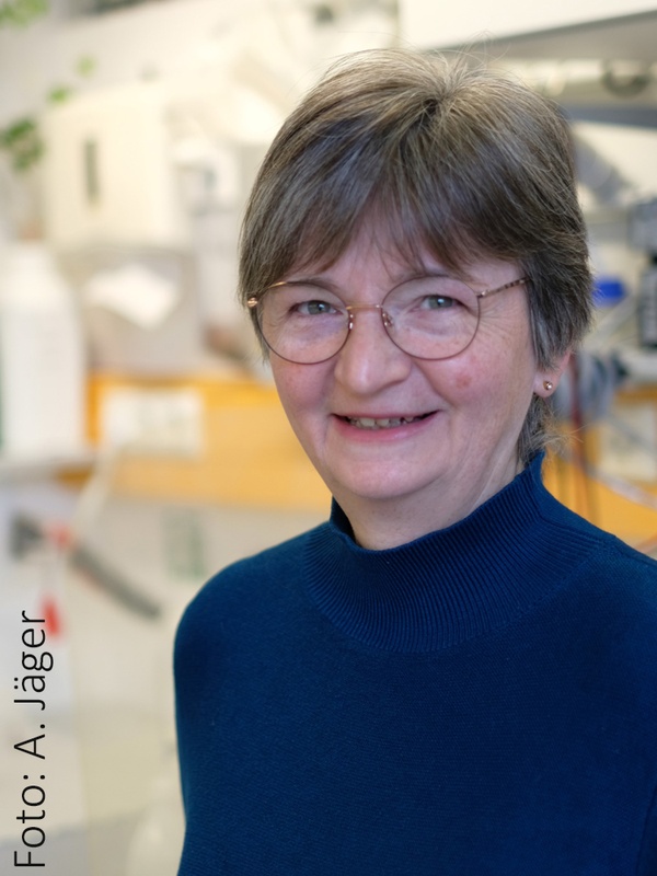 Susanne Barth-Weber Foto Susanne Barth-Weber
