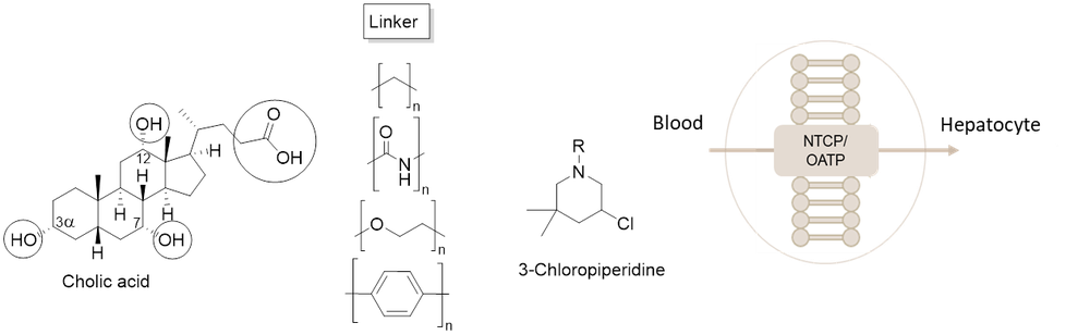 Abb_BileAcids_Chloropiperidines.png