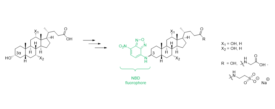 NBD chloropiperidines.png