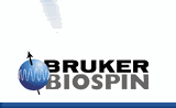 Bruker Logo
