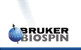 Bruker Logo