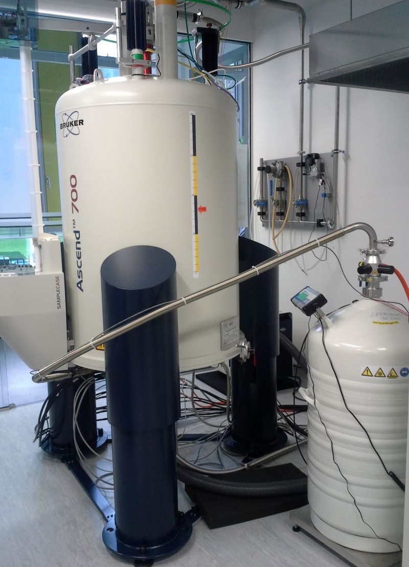 NMR_700MHz_2b.jpg