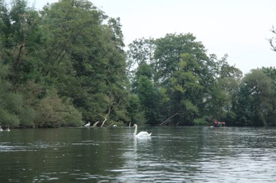 IMG_2876.JPG