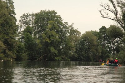 IMG_2879.JPG