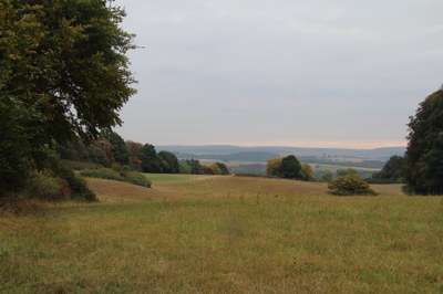 IMG_2909.JPG