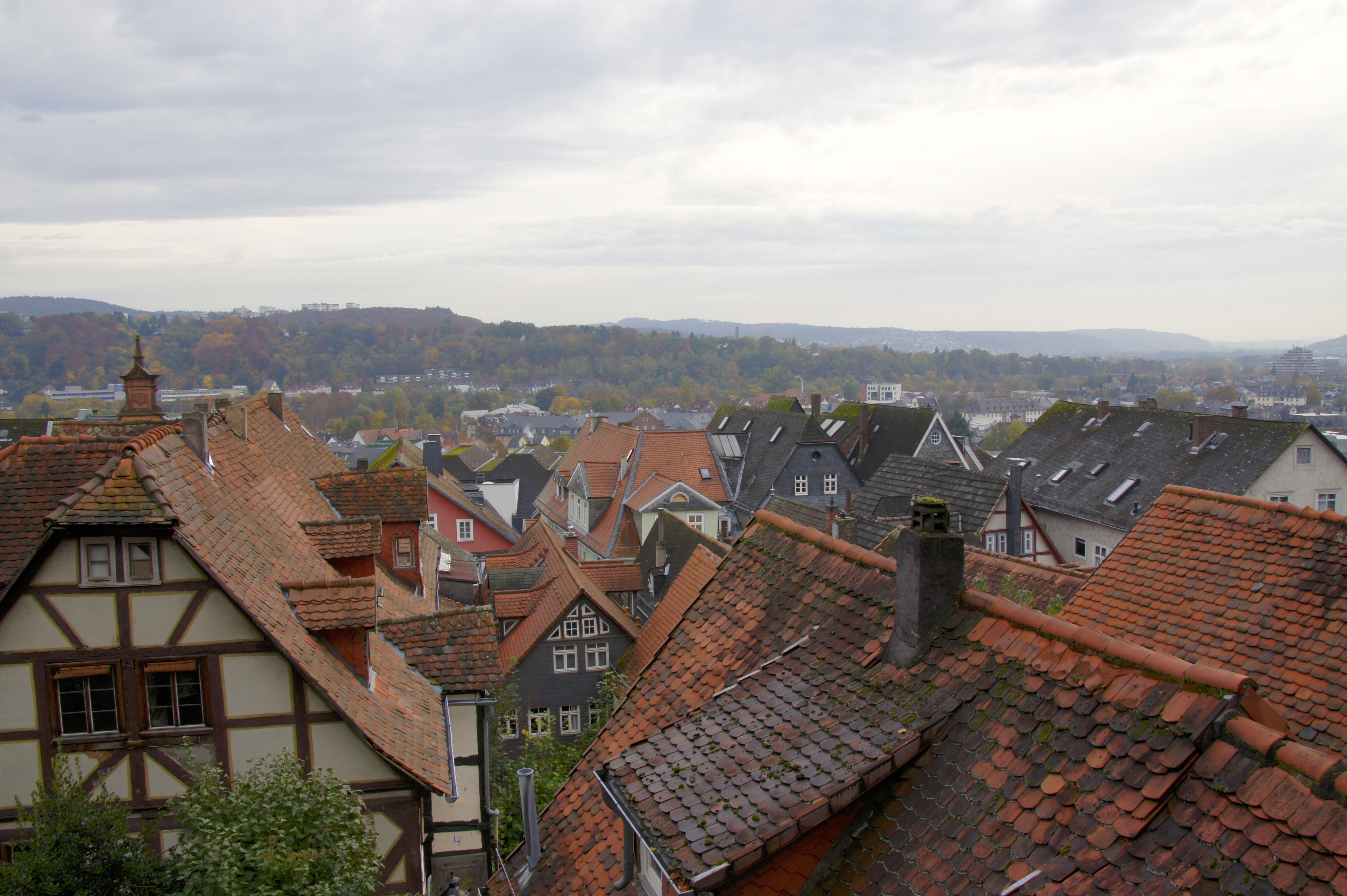 DSC06108.jpg