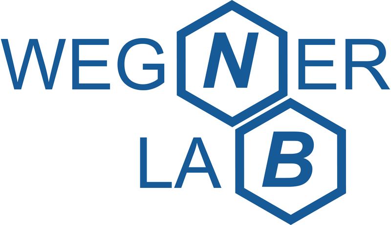 Wegner Group Logo