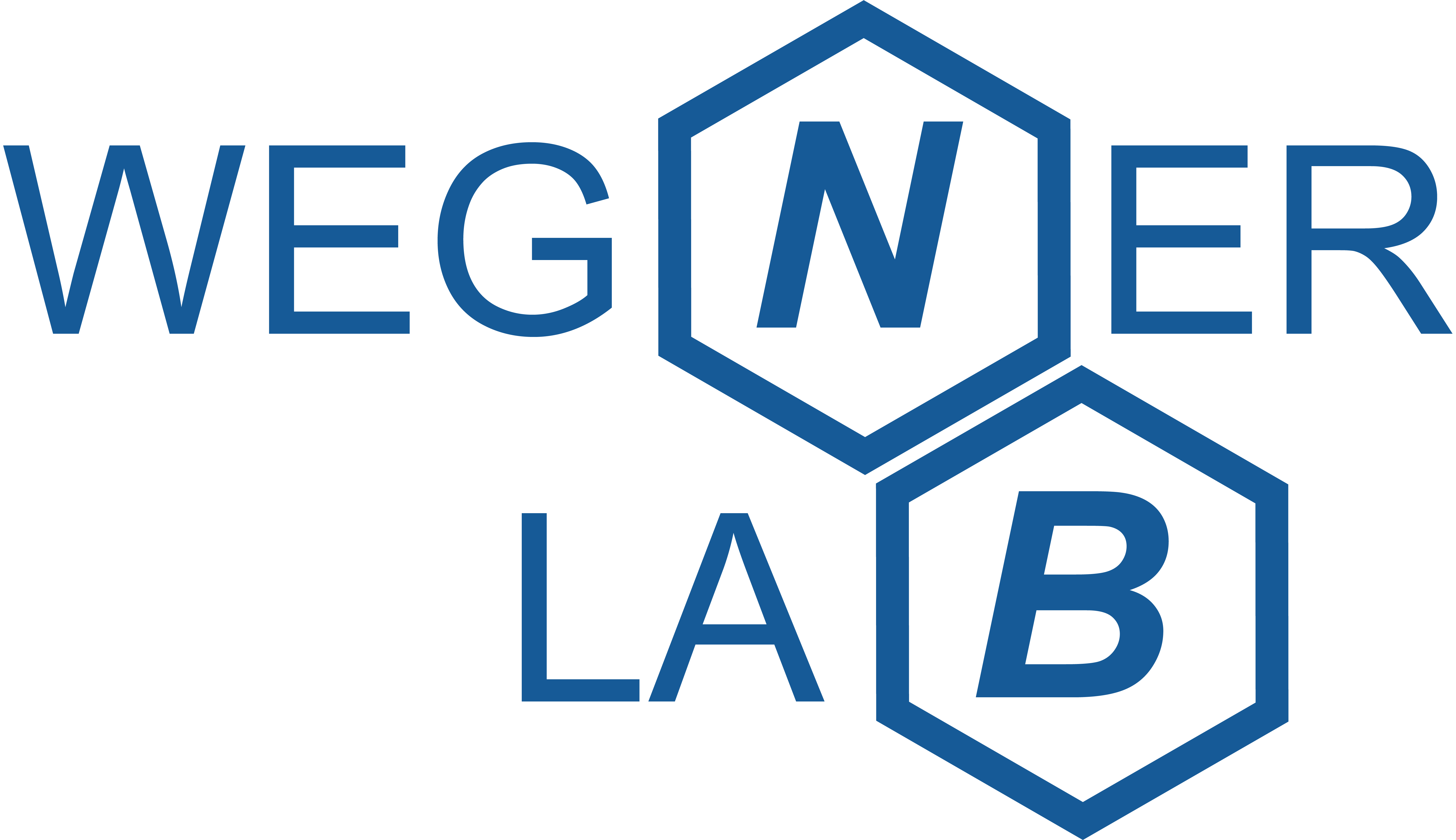 Wegner Group Logo
