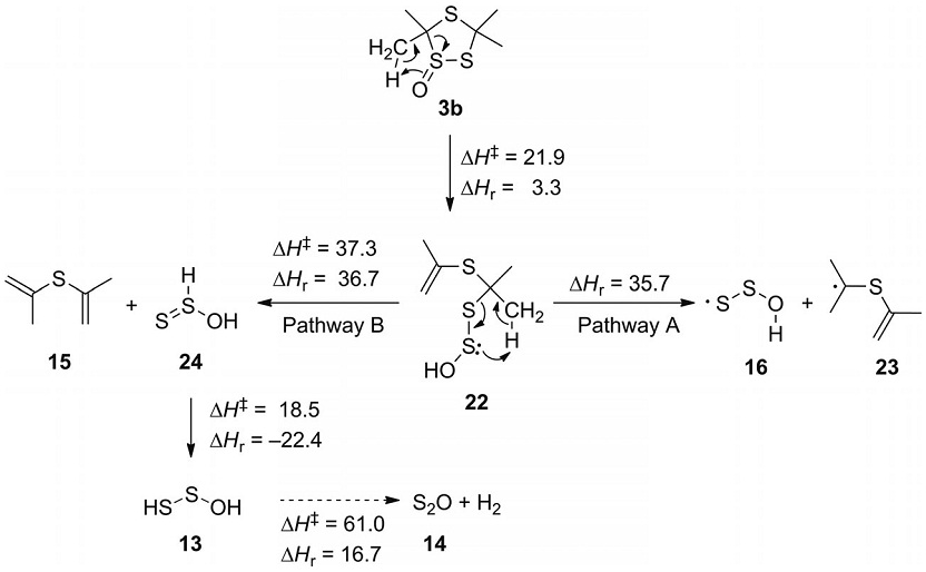 Thermolysis of 3,3,5,5-Tetramethyl-1,2,4-trithiolane 1-Oxide: First Matrix Isolation of the HOSS· Radical