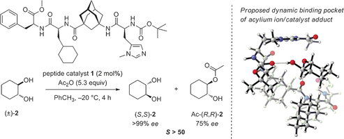 Enantioselective Peptide-Catalyzed Acylation