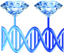 Diamondoid-DNA
