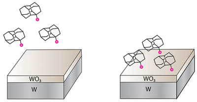 Covalent Attachment of Diamondoid