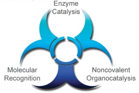 (Thio)urea organocatalysis