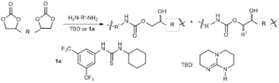 Urea- and Thiourea-Catalyzed Aminolysis of Carbonates.png