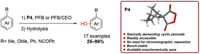 Reactivity of Peroxo Anhydrides