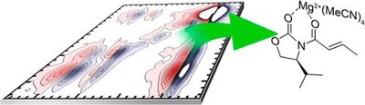 Ultrafast Two-Dimensional Infrared Spectroscopy Resolves the Conformational Change of an Evans Auxiliary Induced by Mg(ClO4)2