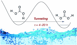 Tunnelling in carbonic acid