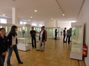 Hanau_15