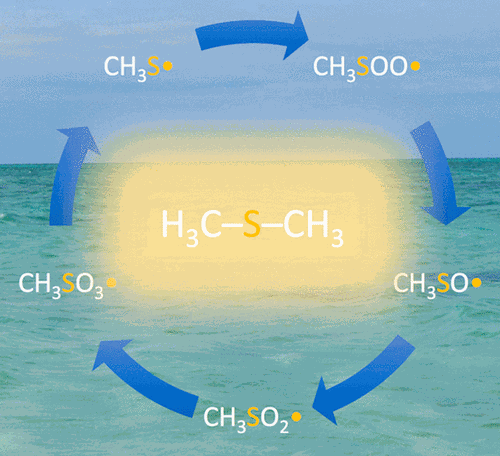 Atmospherically Relevant Radicals