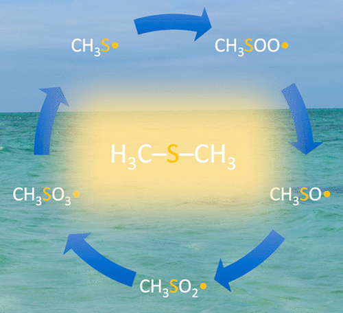 Atmospherically Relevant Radicals