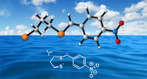 Carbon-Sulfur Centered Biradical.gif