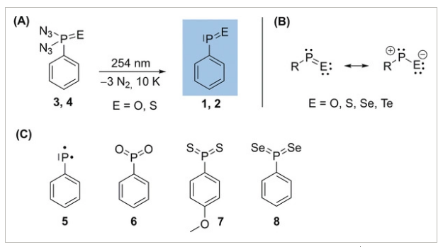 Free Phenylphosphinidene Chalcogenides.png