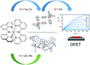 Molecular semiconducting Materials_2022