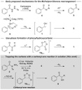 Phenylhydroxycarbenes _2022