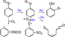 Phenylsulfinyl Radical