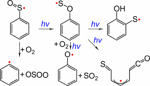 Phenylsulfinyl Radical