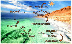 Reactions with oxygen.gif