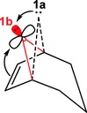 Conformations and Reactions of Bicyclo[3.2.1]oct-6-en-8-ylidene