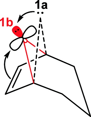Conformations and Reactions of Bicyclo[3.2.1]oct-6-en-8-ylidene