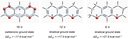 Non-Kekule N-Substituted