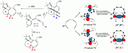 Understanding the Torquoselectivity