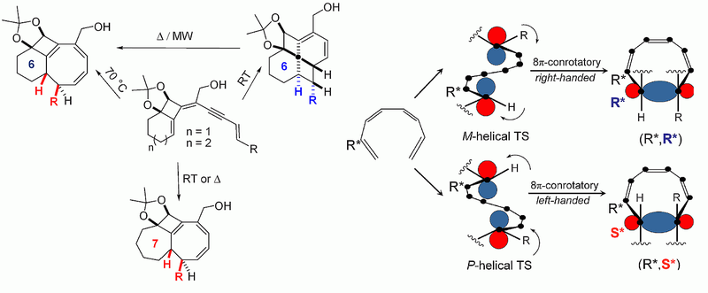 Understanding the Torquoselectivity