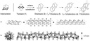 Polytwistane2014