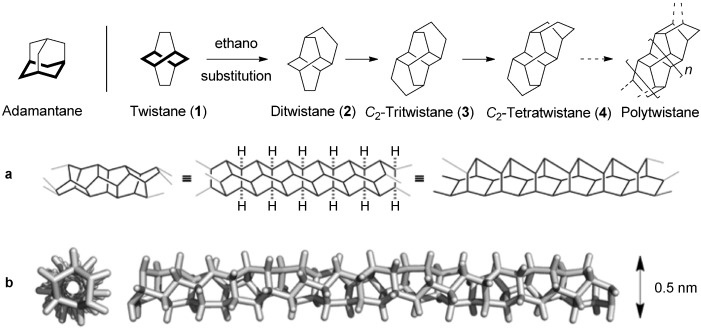 Polytwistane2014