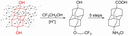 JOC TOC2.gif