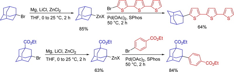 Synthesis of Substituted Adamantylzinc Reagents Using a Mg-Insertion in the Presence of ZnCl2 and Further Functionalizations
