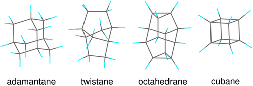 Carbon-cage Molecules_2021