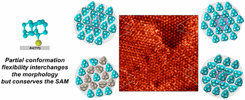 Nanodiamonds80