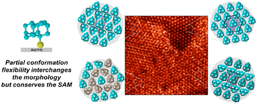 Nanodiamonds80