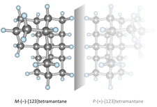 tetraman