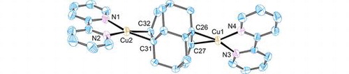 Transition metal complexes
