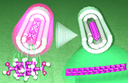 Evidence of Diamond Nanowires