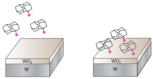 Covalent Attachment of Diamondoid