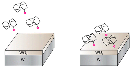 Covalent Attachment of Diamondoid