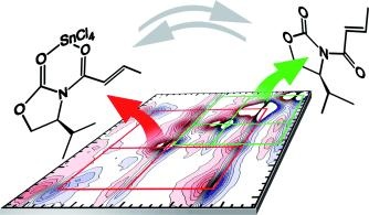 Two-dimensional Infrared Spectroscopy Reveals Structural Details of an Evans Auxiliary and its SnCl4 Complex