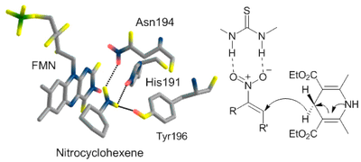 Organocatalytic Biomimetic Reduction
